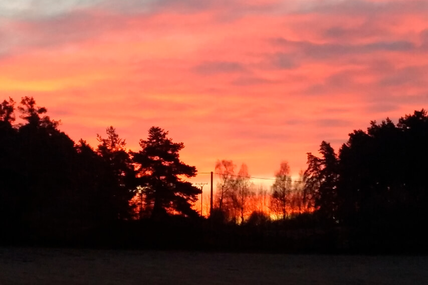 sunset.jpg